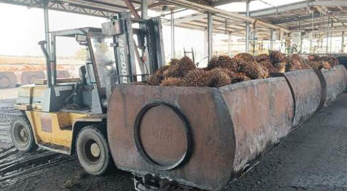 Obrero muere en accidente laboral en procesadora de palma aceitera