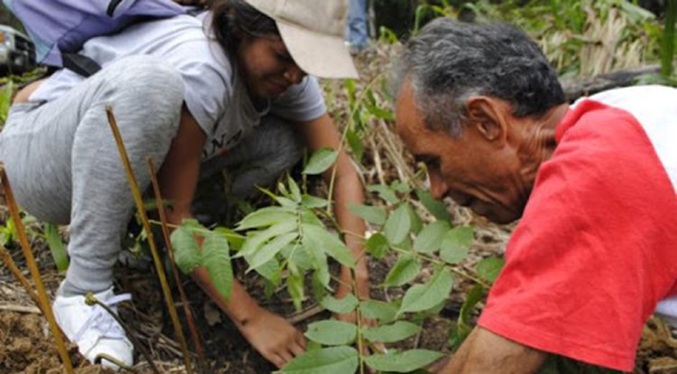 El Gobierno de Venezuela siembra 74.000 plantas para recuperar espacios «degradados»