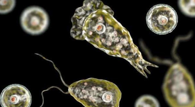 India declara alerta sanitaria tras 19 fallecidos por la ameba comecerebros