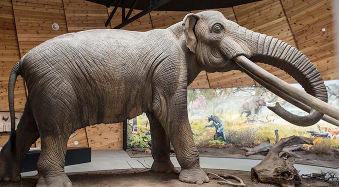 El ADN antiguo revela la gran complejidad de la familia de los mastodontes