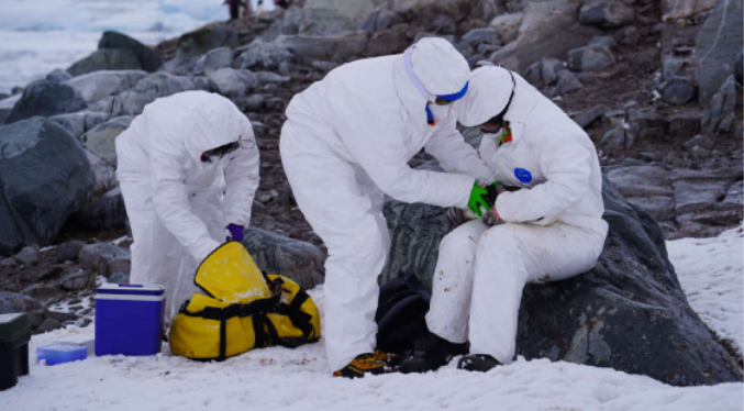 Condenan a un científico chileno por la violación de una colega francesa en la Antártida