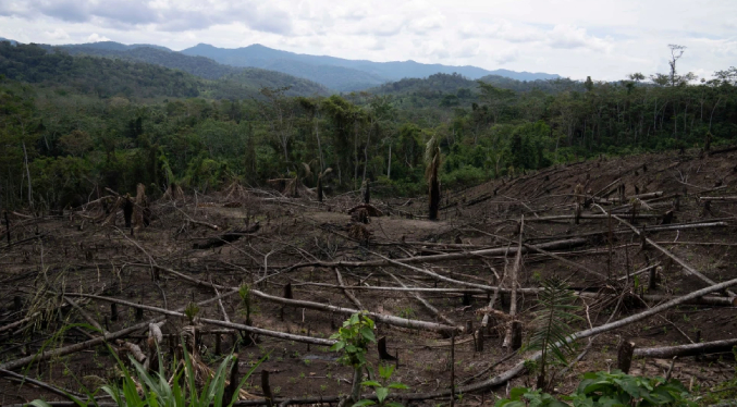La deforestación afecta los “ríos voladores” que hidratan al Amazonas, señala estudio
