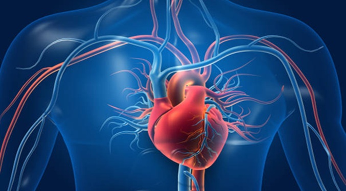 Especialista señala la importancia de la prevención en enfermedades cardiovasculares