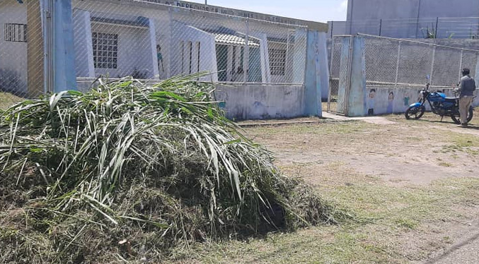 La Alcaldía limpia las áreas laterales de la LOPNA en Machiques