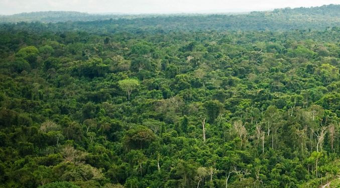 Brasil invertirá mil millones de dólares en el fondo que busca proteger las selvas
