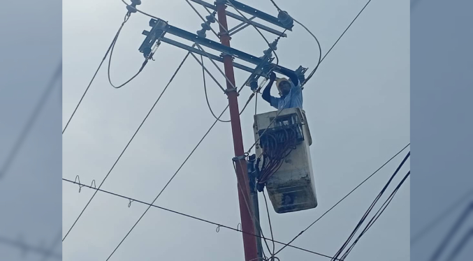 Más de 800 familias beneficiadas con mantenimiento de circuitos en la COL