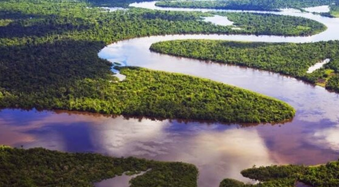 Investigadores descubren un hongo contra plaga de ‘chinches del cacao’ en la Amazonía de Perú