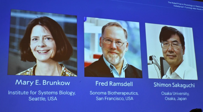 Premio Nobel de Medicina para tres científicos por su trabajo sobre el sistema inmunológico humano