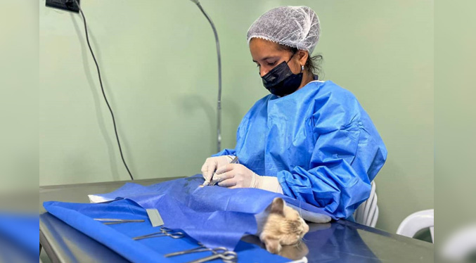 Más de 250 mascotas son esterilizadas en la jornada Castralat 2025