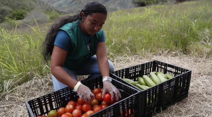 Cien familias colombianas cambian la coca por un futuro con frutas