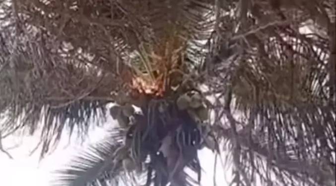 Adolescente resulta herido tras ser impactado por una centella