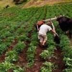 Presentan plan estratégico para impulsar la producción en Mérida