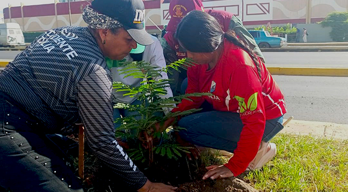 Jornada de la Gobernación de Zulia toma la avenida Delicias para su arborización