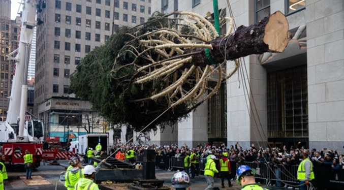Llega al Rockefeller Center su famoso árbol de Navidad