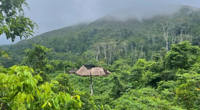 Venezuela se adhiere a la Comisión de Bosques y Clima de la OTCA