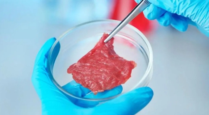 Hungría prohíbe la producción y venta de carne artificial, cultivada en laboratorio
