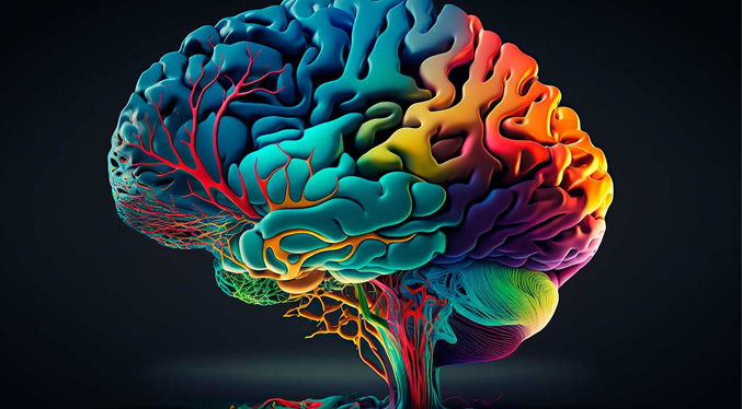 Científicos afirman que el cerebro humano viene ‘preconfigurado’ con instrucciones para comprender el mundo