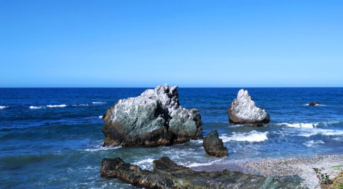 Proyecto Unomia Stolonifera avanza con control tecnológico en costas venezolanas
