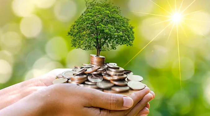 Las finanzas renovables y su importancia para el ambiente