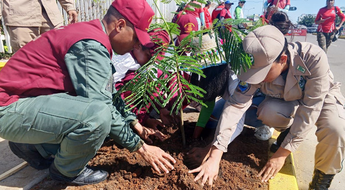 Realizan jornada de arborización en el Zulia con motivo de la celebración del Día Mundial de la Ecología