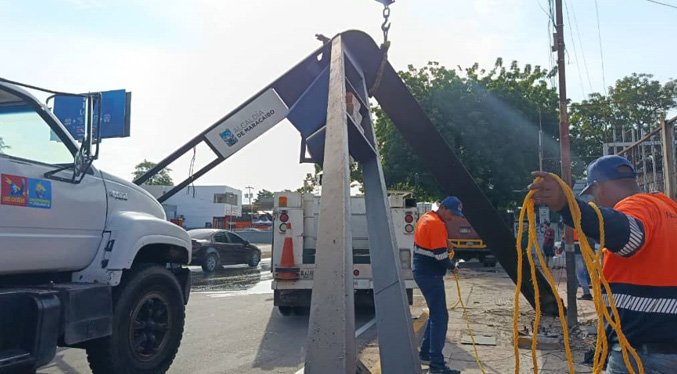 Conductor derriba semáforo en La Limpia: IMTCUMA trabaja para repararlo y restablecer el tránsito