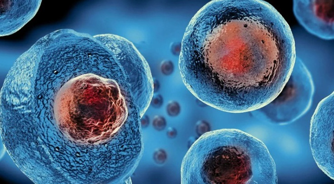 Terapia experimental logra rejuvenecer las células madre de la sangre