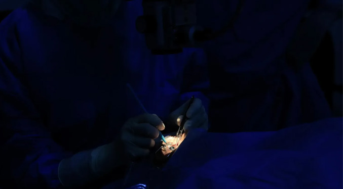 Prueban en dos personas ciegas un sistema de visión artificial que dialoga con el cerebro