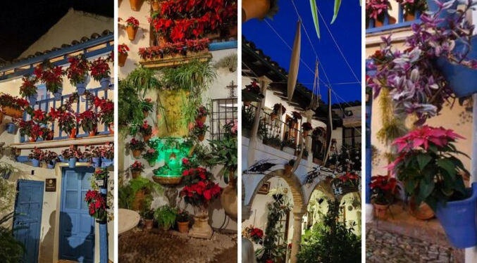 Floridos y famosos Patios de Córdoba visten la Navidad en el sur de España
