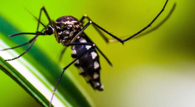 Cuba registra 33 muertos por chikunguña y dengue, 21 de ellos menores de edad