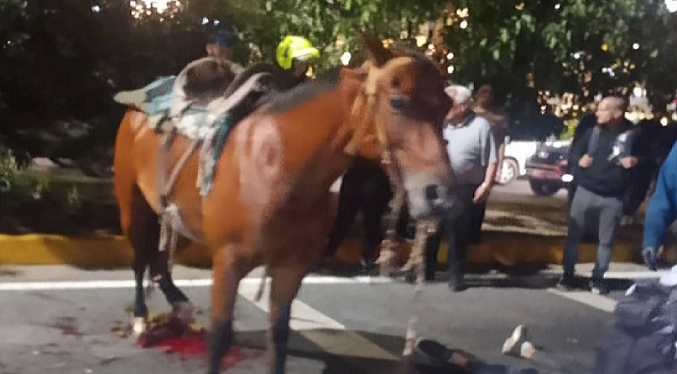 Dos jóvenes lesionadas tras colisión entre un vehículo y un caballo en Maracay