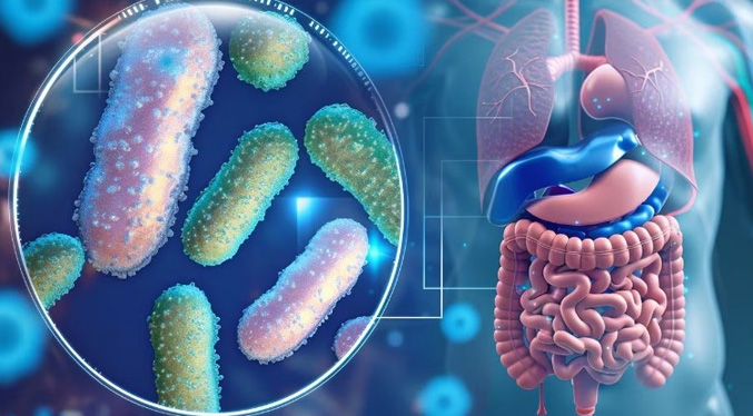 Investigadores descubren cómo actúa la variante del virus que aumentó los casos de gastroenteritis