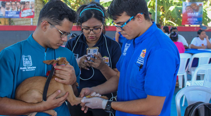 IMPA lleva atención veterinaria gratuita a las comunidades de Maracaibo