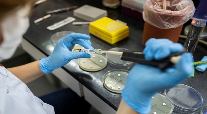 Los casos de la variante K de la influenza A H3N2 ascienden a 28 en Argentina