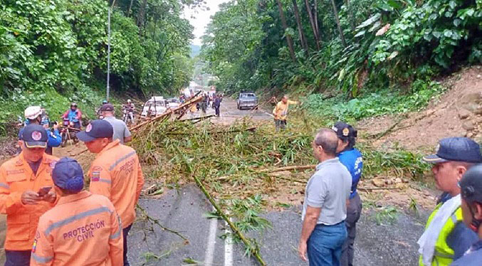 Casas afectadas y deslizamiento de tierra en zonas de Mérida por fuertes lluvias