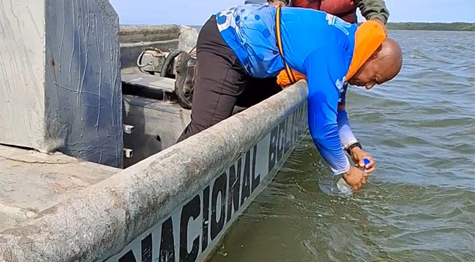 ICLAM evalúa la calidad de agua en balnearios de Maracaibo para los Carnavales