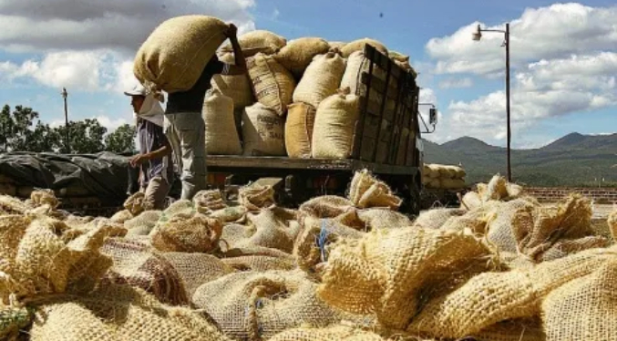 Asoprocanz: Falta de mantenimiento vial pone en riesgo la producción del café