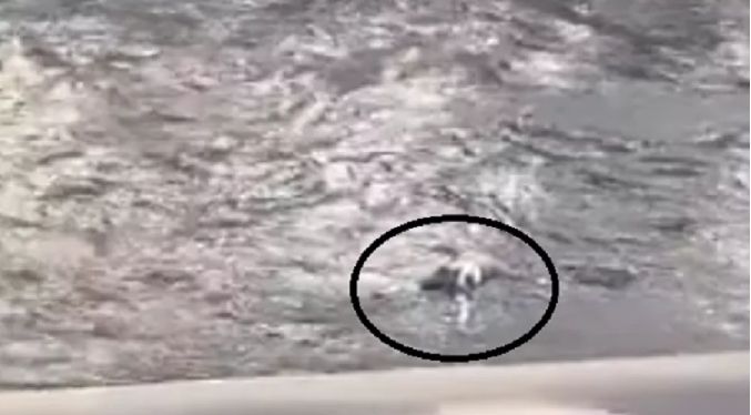 Cadáver de una persona es recuperado en el río Guaire