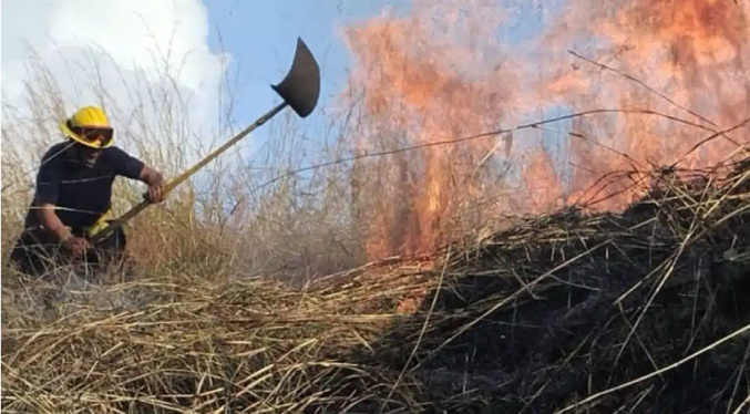 Alrededor de 27 hectáreas afectadas por incendio en el parque nacional Henri Pittier