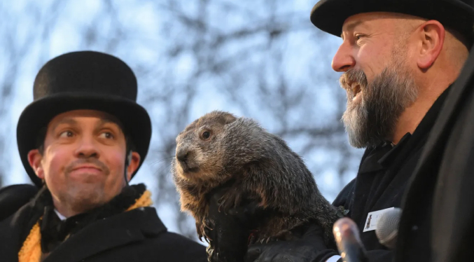 Presagio tradicional: La famosa marmota Punxsutawney Phil predice seis semanas más de invierno