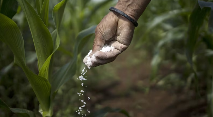 Casa Blanca confirma que EEUU busca fertilizante de Venezuela y Marruecos