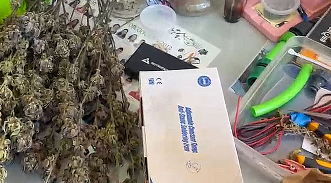 Desmantelan en España una de las mayores redes de distribución de hachís