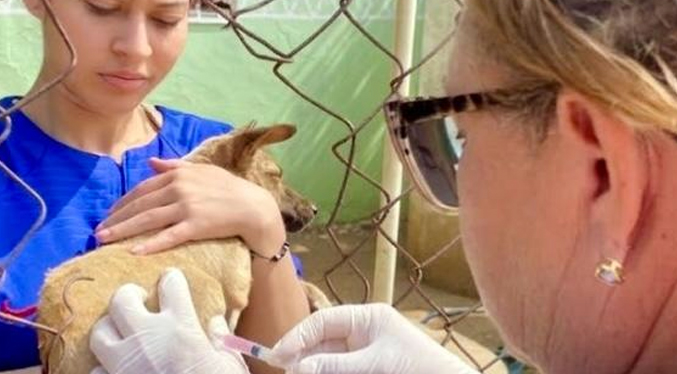 Ministerio de Salud y Gobernación del Zulia impulsan Plan de Vacunación Canina ‘Huellas Seguras’