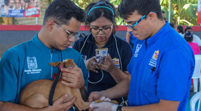 Jornada de vacunación para caninos y felinos realiza la Alcaldía de Maracaibo