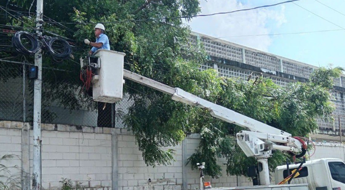 Labores de control de vegetación fortalecen servicio eléctrico en la Región Occidente
