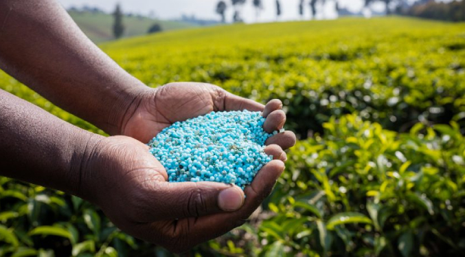 Crisis mundial de fertilizantes impactará a Venezuela, alerta la Sociedad de Agrónomos