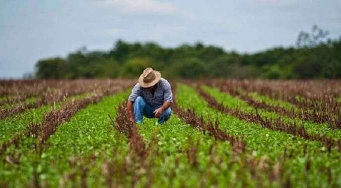 Fedenaga exige seguridad jurídica y personal para potenciar el agro