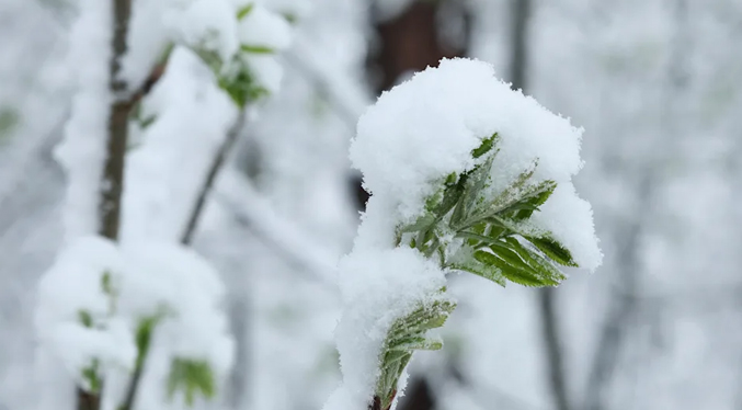 Elevan a nivel naranja la alerta en Moscú ante el mal tiempo y las intensas nevadas