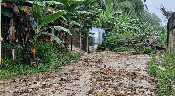 Reportan deslizamientos por lluvias en Mérida