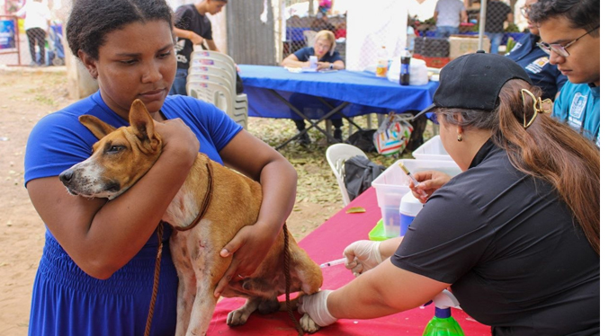 Vacunación antirrábica de mascotas llega a parroquia Juana de Ávila