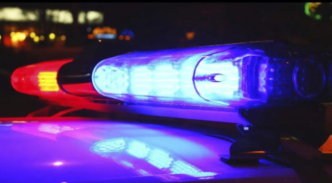 Detenidos tres jóvenes tras grabar el asesinato de un perro comunitario en Sucre